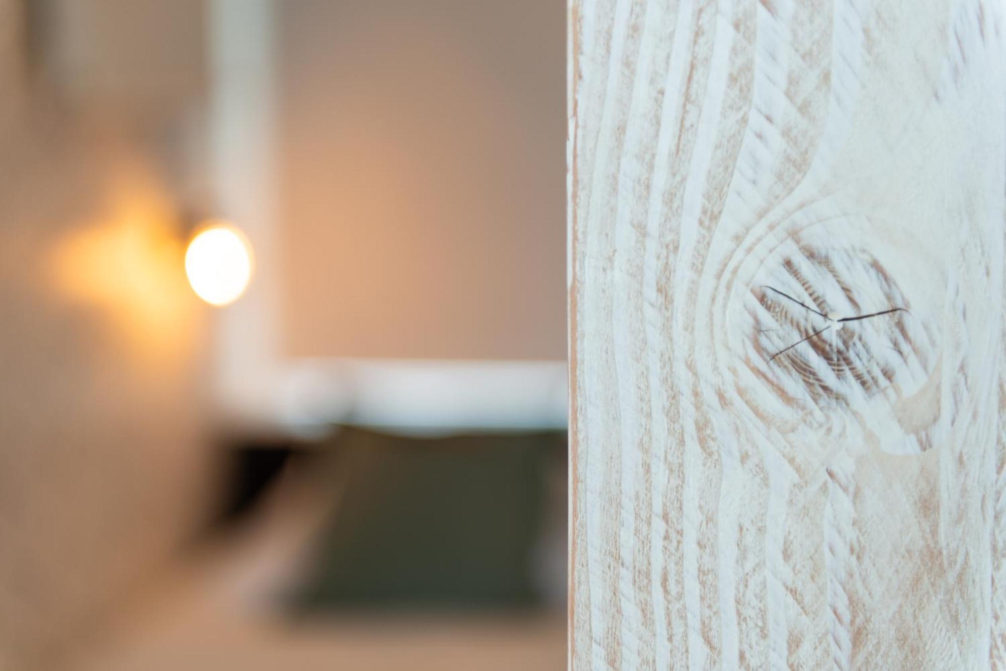 Appartement Zuyd Zandvoort Esterno foto