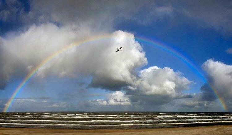 Appartement Zuyd Zandvoort Esterno foto
